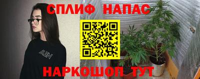 гидра Свободный